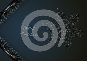 Elegant Christmas Background with snowflakes