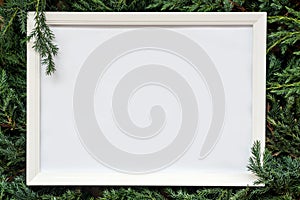 Elegant Christmas frame with copyspace on fir tree branches