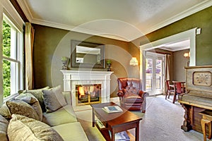 Elegant classic green living room with fireplace and piano.