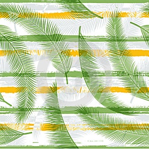 Elegant coconut palm leaves tree branches