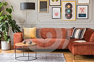 Coffee table in front trendy sofa in modern living room interior with grey wall