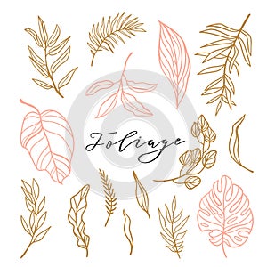 Elegant collection of foliage for stylish feminine logo or wedding invitation. Set cute leaves. Vector illustration.