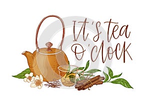 Elegant composition with teapot, transparent glass cup with steeping tea, fresh leaves, flowers, cinnamon sticks and It