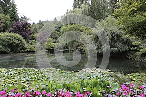 Elegant compositions of plants around an pond in the Butchart Garden on Vancouver Island, British Columbia, Canada