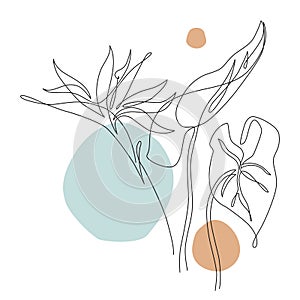 Elegant continuous line drawing. Minimal art flowers and leaves isolated on white backgroud