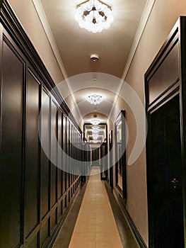 Elegant corridor in exclusive apartment house with dark walls and nice lamps
