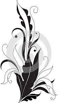 Elegant curl from a vector