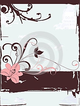 Elegant curl from a vector.