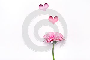 Elegante margarita flor a vistoso corazón. feliz madres de las mujeres o Día de San Valentín tarjeta de felicitación. mínimo crear 