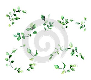 Elegant decorative floral frames with green leaves and branches in watercolor style. Perfect design elements for save the date car