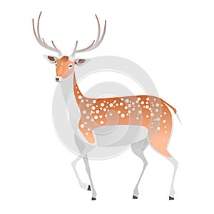 Elegant deer on a white background. Vector isolated animal.