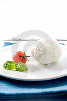 Elegant and delicious Italian dish with a DOP buffalo mozzarella from Campania and tomato with basil on a white background and pla