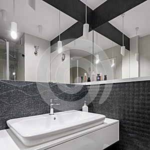 Elegant designed black and white bathroom