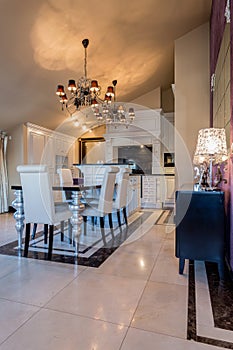 Elegant dining room interior