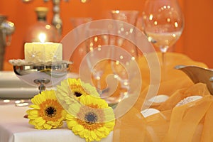 Elegant dining setting