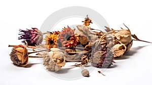 Elegant Dried Flowers Arrangement on Clean White Background, Botanical Aesthetic for Home Decor, Events, and Crafts