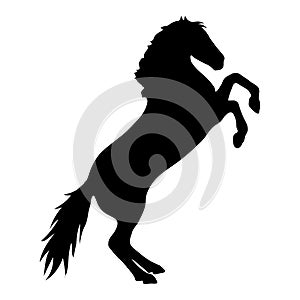 Elegant Equine Outlines, Black horse silhouette vector art