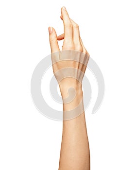 Elegant female bent palm or wrist isolated on white. Front view