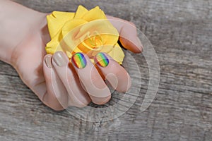 Elegant female hand with beige nail polish and rainbow lgbt nail art holding fresh yellow rose on a wooden background