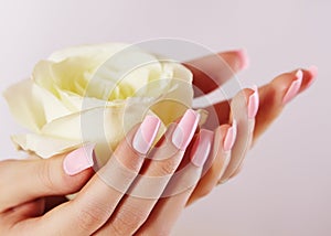 Elegant female hands with Pink Manicured Nails. Beautiful fingers holding rose flower. Gentle Manicure with light Polish photo