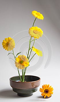 Elegant floral arrangement of yellow flowers. Beautiful bouquet on a neutral background