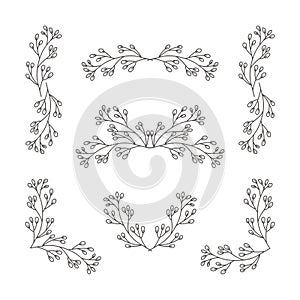 Elegant Floral and organic vector elements