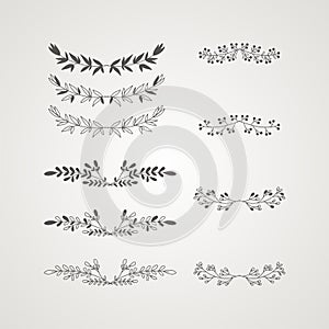 Elegant Floral and organic vector elements