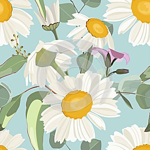 Elegant floral pattern with hand draw daisy camomileflowers and eucaliptus.