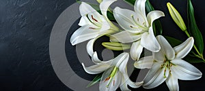 Elegant funeral lily on dark background with ample space for poignant text placement photo
