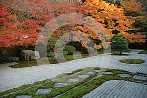 Elegant garden autumn