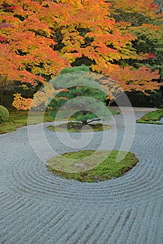 Elegant garden autumn