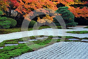 Elegant garden autumn