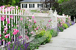 Elegant Garden Fence With Roses