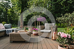 Elegant garden furniture on terrace of suburban home