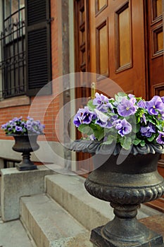 Elegant Garden Urn Framing Door Entrance