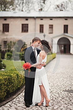 Elegant gentle stylish groom, bride smiling and kissing near park
