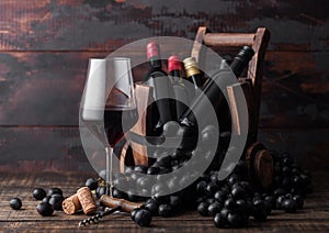 Elegant glass of red wine with dark grapes and mini bottles of wine inside vintage wooden barrel on dark wooden background.