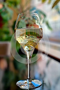 An elegant glass with white wine and reflections in it. Shallow depth of field