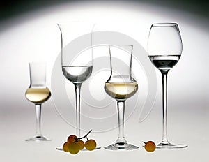 Elegant glasses of grappa