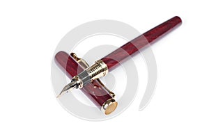 Elegant gold plated business fountain pen