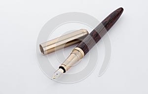 Elegant gold plated business fountain pen isolated