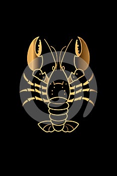 Elegant Golden Lobster Illustration on a Black Background photo