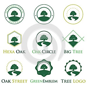 Elegant Green Ecology Oak Tree Logo Identity Bundle Set
