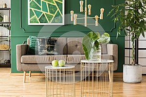 Elegant green and gold living room with brown sofa, coffee tables and golden chandelier
