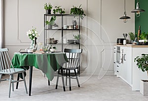 Elegant grey and green kitchen in tenement house