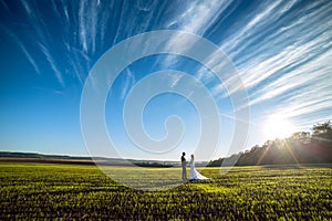 Elegant groom and chic brunette bride on a background of nature and blue sky. View from afar