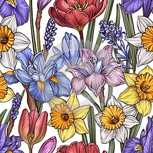 Elegant Hand-Drawn Spring Flowers Illustration with Tulips and Daffodils Perfect for Invitations and Botanical Themes Pattern