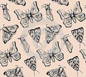 Elegant handdrawn ink moth pattern black on beige