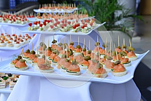 Elegant Healthy Smoked Salmon Appetizer Ingredients.Salmon with vegetables