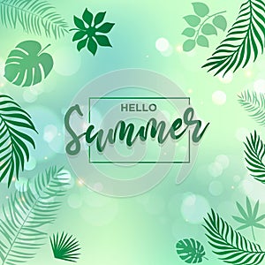 Elegant hello summer design with palm leaf and blur background vector